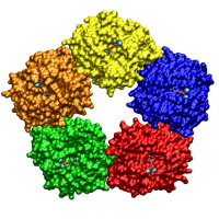Figure 1. The Structure of C-Reactive Protein (CRP) - a pentraxin