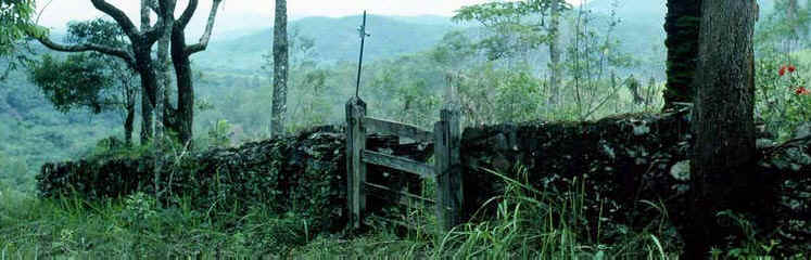 Entrance gate to the Gongo Soco Cemetery Brazil, where many Cornish are buried. Courtesy Marshall Eakin 1997