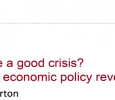Panel 3: Why Waste a Good Crisis? Making an Economic Policy Revolution