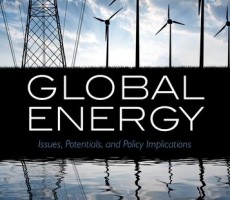 Book Chapter: Electricity Markets and their Regulatory Systems for a Sustainable Future