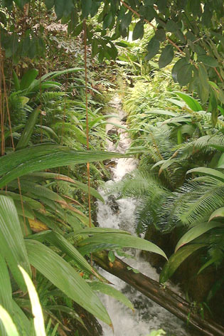 Waterfall inside the Tropical Biome